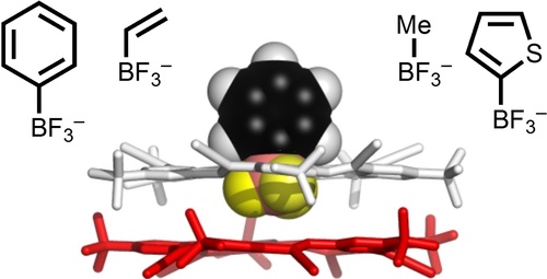 High-fidelity Recognition of Organotrifluoroborate Anions as Designer Guest Molecules